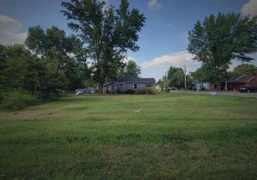 000 13TH Street, Johnston City, Illinois, ,Land,For Sale,13TH,RMAEB455045