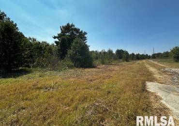 1220 POPLAR Street, Harrisburg, Illinois, ,Land,For Sale,POPLAR,RMAQC4256372