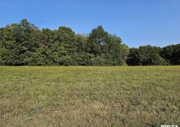 0000 Stanford Lane, Opdyke, Illinois, ,Land,For Sale,Stanford,RMAEB455093