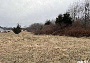 0000 42ND Street, Mt Vernon, Illinois, ,Land,For Sale,42ND,RMAEB455136