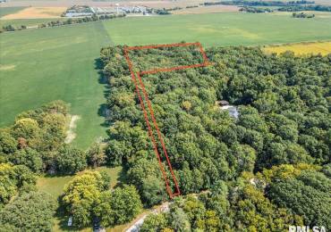 4102 LAKE SHORE Drive, Taylorville, Illinois, ,Land,For Sale,LAKE SHORE,RMACA1031901