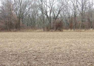 0000 FRISCO Road, Ewing, Illinois, ,Land,For Sale,FRISCO,RMAEB455145