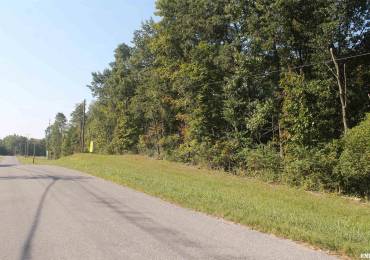 000 COUNTY LINE Road, Carbondale, Illinois, ,Land,For Sale,COUNTY LINE,RMAEB455148