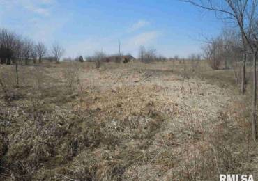 Lots 8 and 9 Fair Acres Drive, Monmouth, Illinois, ,Land,For Sale,Fair Acres,RMACA184813