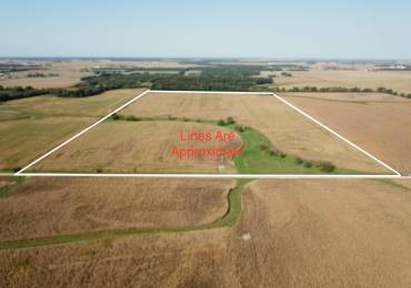 000 Stanford Road, Flora, Illinois, ,Land,For Sale,Stanford,RMAEB455393