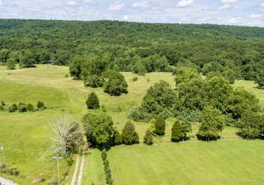 000 Henry Hicks Road, Herod, Illinois, ,Land,For Sale,Henry Hicks,RMAEB455451