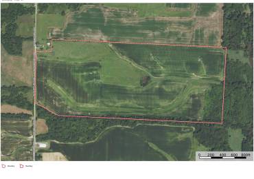 88.75 acres m/l 13 Walker Twp, West Point, Illinois, ,Land,For Sale,13 Walker Twp,RMACA1032576