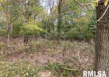 000 Barnett Avenue, Carterville, Illinois, ,Land,For Sale,Barnett,RMAEB455681