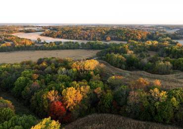 0 Polecat Road, Cuba, Illinois, ,Land,For Sale,Polecat,RMAPA1254271