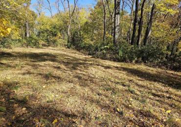 4.2 Acres ZACHARY Avenue, Montpelier, Iowa, ,Land,For Sale,ZACHARY,RMAQC4257944