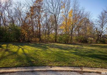 118 SUSAN Court, East Peoria, Illinois, ,Land,For Sale,SUSAN,RMAPA1254297