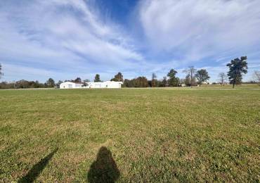 005 Professional Park Drive, Marion, Illinois, ,Land,For Sale,Professional Park,RMAEB455827