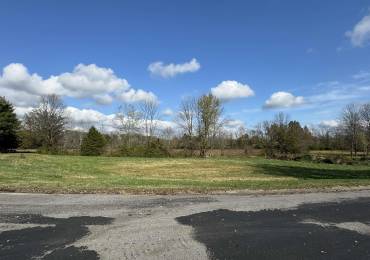 000 CHEROKEE Street, Vienna, Illinois, ,Land,For Sale,CHEROKEE,RMAEB455849