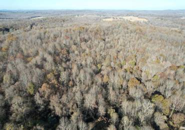 000 AIRPORT Road, Rosiclare, Illinois, ,Land,For Sale,AIRPORT,RMAEB455896