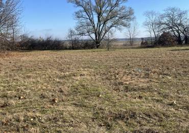 502 EAGLE Drive, Meredosia, Illinois, ,Land,For Sale,EAGLE,RMAQC4258446