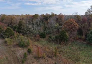 14638 Old Frankfort Road, Marion, Illinois, ,Land,For Sale,Old Frankfort,RMAEB455936