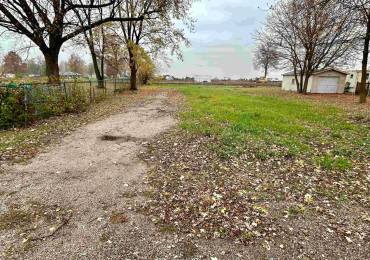 709 JACKSON Street, Virden, Illinois, ,Land,For Sale,JACKSON,RMACA1033195