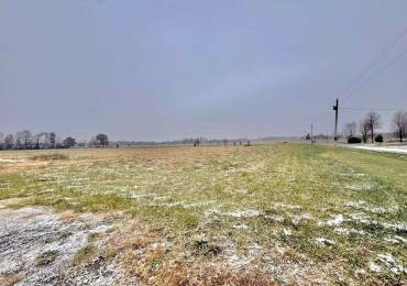 0000 DAVIS Road, West Frankfort, Illinois, ,Land,For Sale,DAVIS,RMAEB456050