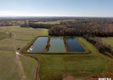 000 State Route 146 E Highway, Elizabethtown, Illinois, ,Land,For Sale,State Route 146 E,RMACA1033413