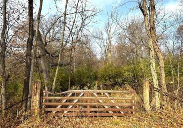 Lot 2 & 3 FLEISHER Road, Galesburg, Illinois, ,Land,For Sale,FLEISHER,RMACA1033471