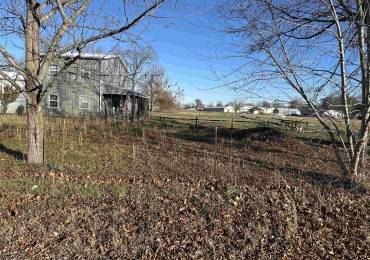 000 WALNUT Street, Herrin, Illinois, ,Land,For Sale,WALNUT,RMAEB456167