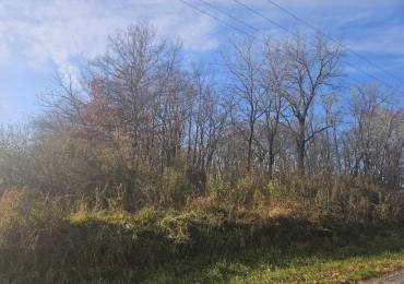 0000 Eakin Grove Road, Benton, Illinois, ,Land,For Sale,Eakin Grove,RMAEB456226