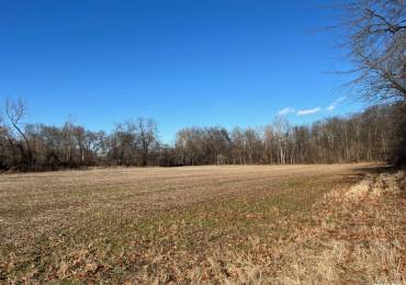 RR 345TH Street, Pleasant Hill, Illinois, ,Land,For Sale,345TH,RMACA1033595