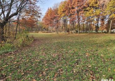 Lot 318, 325 & 3 19TH Avenue, Coal Valley, Illinois, ,Land,For Sale,19TH,RMAQC4259242