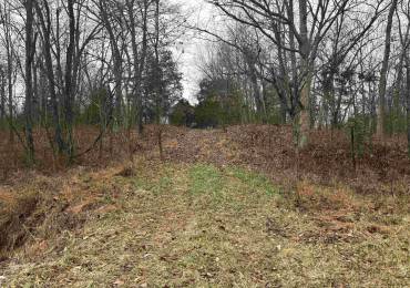 0000 Goshen Lane, Mt Vernon, Illinois, ,Land,For Sale,Goshen,RMAEB456282