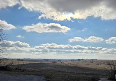 1771 150TH Street, Lost Nation, Iowa, ,Land,For Sale,150TH,RMAQC4259407