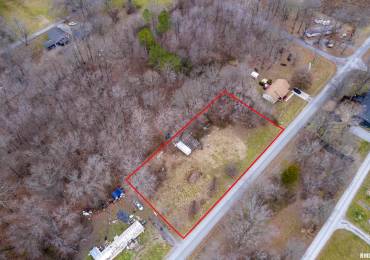 401 MADISON Street, Colp, Illinois, ,Land,For Sale,MADISON,RMAEB451740