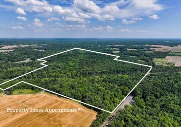 000 Beal, Dix, Illinois, ,Land,For Sale,Beal,RMAEB453984