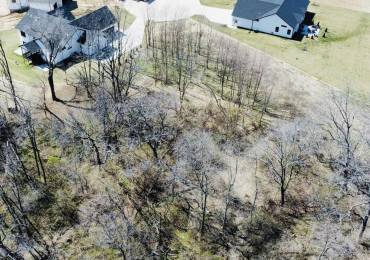 205 ANN Avenue, Riverdale, Iowa, ,Land,For Sale,ANN,RMAQC4259567