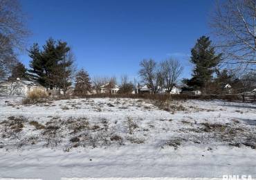 208 4TH Street, Vermont, Illinois, ,Land,For Sale,4TH,RMAPA1255400