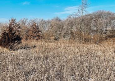 2635 KNOX Road, Altona, Illinois, ,Land,For Sale,KNOX,RMACA1033859