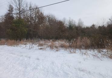 LOT 5 Hutchison Road, Mt Vernon, Illinois, ,Land,For Sale,Hutchison,RMAEB456409