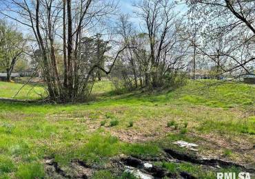 00 LEWIS Street, Golconda, Illinois, ,Land,For Sale,LEWIS,RMAEB456425