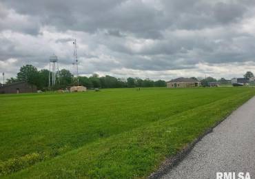 tbd Shawnee College Road, Ullin, Illinois, ,Land,For Sale,Shawnee College,RMAEB456482