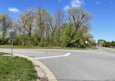 10311 FLEMING Road, Carterville, Illinois, ,Land,For Sale,FLEMING,RMAEB439050