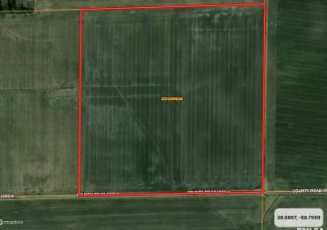 000 1000 N Road, Farina, Illinois, ,Land,For Sale,1000 N,RMAEB456527