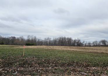 000 America Road, Galatia, Illinois, ,Land,For Sale,America,RMAEB456532