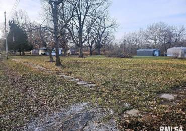 266 DOWNING Street, Palmyra, Illinois, ,Land,For Sale,DOWNING,RMACA1034096