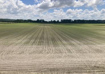 801 1200 Street, Hillview, Illinois, ,Land,For Sale,1200,RMACA1034179