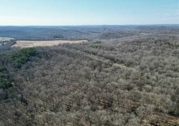 000 MINERVA Road, Cave In Rock, Illinois, ,Land,For Sale,MINERVA,RMAEB456641