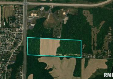 0 US HWY 67 Highway, Milan, Illinois, ,Commercial Sale,For Sale,US HWY 67,RMAQC4260302