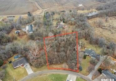 Lot 14 Brierwood Avenue, Athens, Illinois, ,Land,For Sale,Brierwood,RMACA1034312