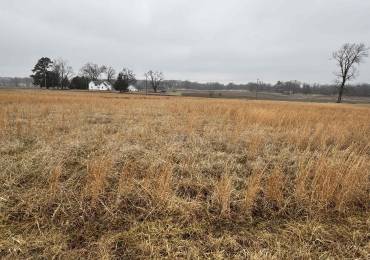 Lot 6 DOVE Lane, Eldorado, Illinois, ,Land,For Sale,DOVE,RMAEB456694