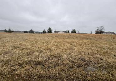 Lot 12 DOVE Lane, Eldorado, Illinois, ,Land,For Sale,DOVE,RMAEB456692