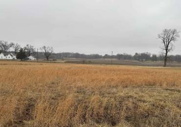 Lot 3 DOVE Lane, Eldorado, Illinois, ,Land,For Sale,DOVE,RMAEB456697