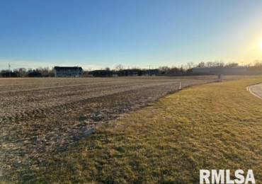 Lot 1 BRIARBROOK Drive, East Peoria, Illinois, ,Land,For Sale,BRIARBROOK,RMAPA1255907